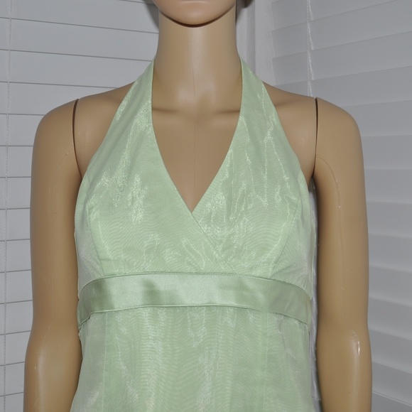 Organza Tea-Length Dress w/ Satin Ribbon Detailing - Picture 4 of 8
